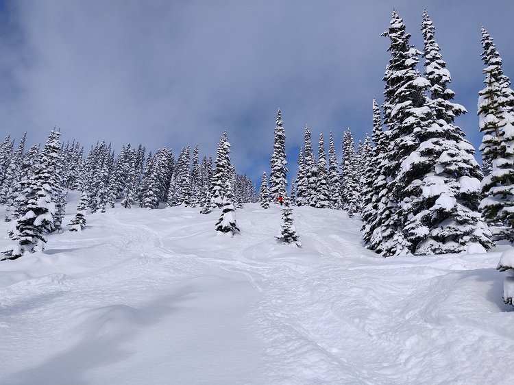 2019-02-13 10.21.58 Gavin picking his way down through the powder forest.